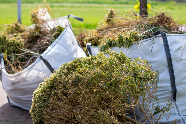 Best Trash Removal Near Me  in Andrews, IN